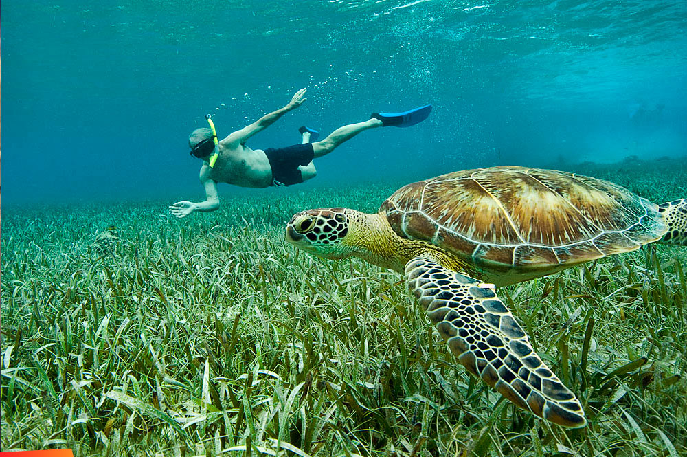 Adventure activities for Spring Break in Belize